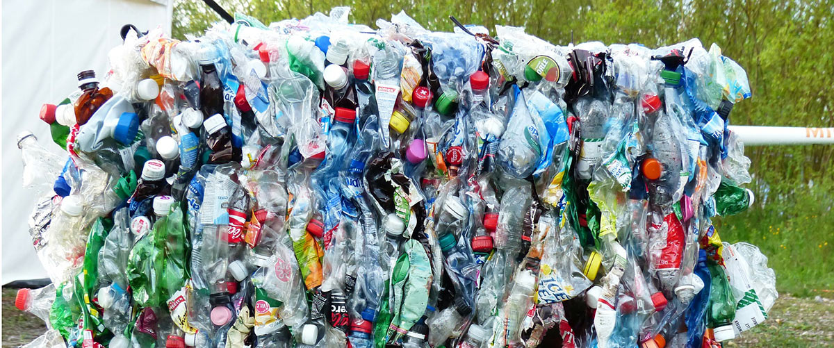 Recycled Plastic Bottles